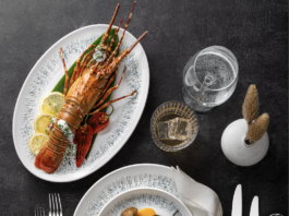 Inspired by organic landscapes, Ariane presents Fjord